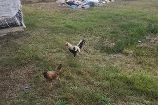 86 Rd 5102, Cleveland, TX 77327 - Photo 9