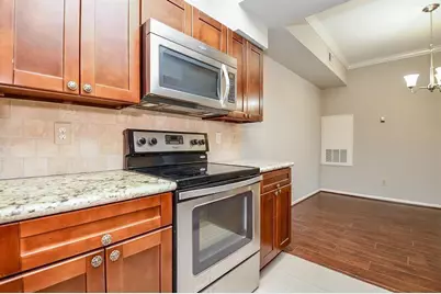 2255 Braeswood Park Drive #168, Houston, TX 77030 - Photo 5