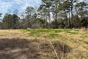 25615 Timber Lakes Dr, Spring, TX 77380 - Photo 7