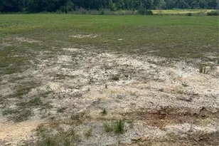 34616 Sh 249, Pinehurst, TX 77362 - Photo 3