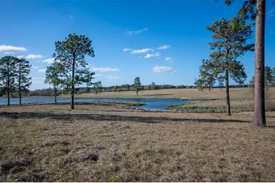 415 Evergreen Trail, Woodville, TX 75979 - Photo 3