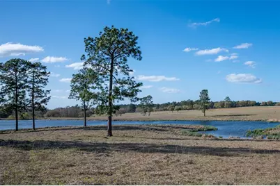 415 Evergreen Trail, Woodville, TX 75979 - Photo 1