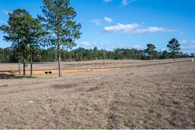 415 Evergreen Trail, Woodville, TX 75979 - Photo 5