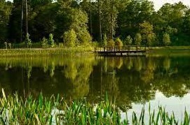 180 Malone St, Houston TX  77007-8115 exterior