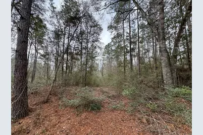 11700 Grand North Road, Willis, TX 77378 - Photo 9