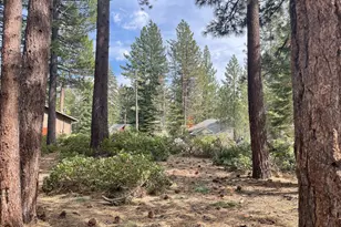 1144 Watson St, South Lake Tahoe, CA 96150 - Photo 1