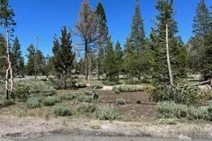 2263 Blitzen Rd, South Lake Tahoe, CA 96150 - Photo 1