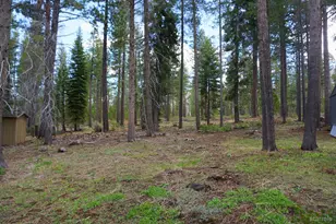 1548 Iroquois Cir, South Lake Tahoe, CA 96150 - Photo 1