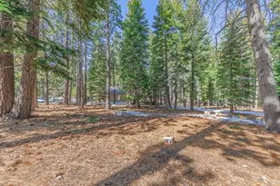 581 Cochise Cir, South Lake Tahoe, CA 96150 - Photo 1