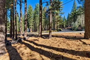 2405 Marshall Trail, South Lake Tahoe, CA 96150 - Photo 1
