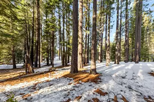 1638 Semat St, South Lake Tahoe, CA 96150 - Photo 1