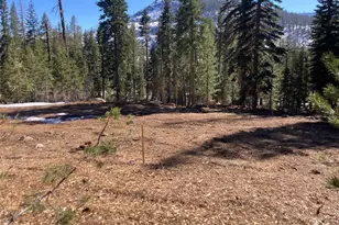 8715 Johnson Pass Rd, Twin Bridges, CA 96150 - Photo 1