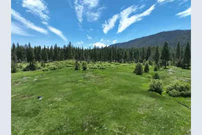475 Old Hatchery Road, Clio, CA 96106 - Photo 1