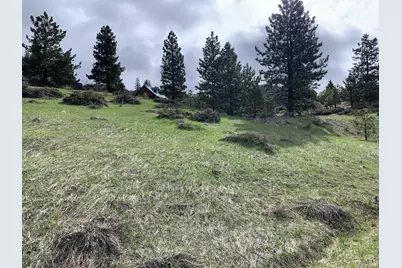 3345 Fawn Lane, Portola, CA 96122 - Photo 1