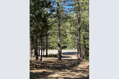 6018 Lake Davis Road, Portola, CA 96122 - Photo 1