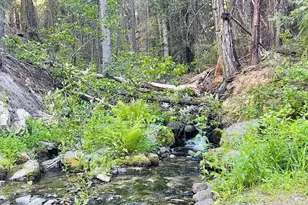 3050 Water Wy, Clio, CA 96106 - Photo 1