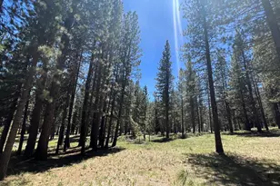 225 Gold Nugget Ln, Graeagle, CA 96103 - Photo 1