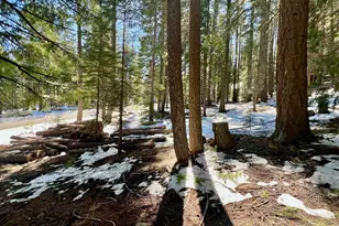 84 Yonkalla Trail, Graeagle, CA 96103 - Photo 1