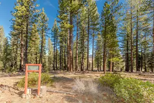 13273 Snowshoe Thompson, Truckee, CA 96161 - Photo 1