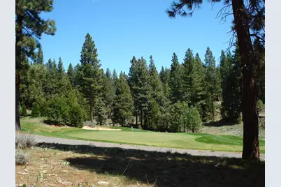 360 Big Grizzly Road, Portola, CA 96122 - Photo 1