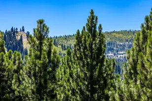 12379 Stockholm Way, Truckee, CA 96161 - Photo 1