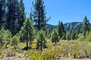 740 John McKinney, Truckee, CA 96161 - Photo 1