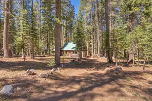 51554 Donner Pass Rd, Soda Springs, CA 95728 - Photo 1