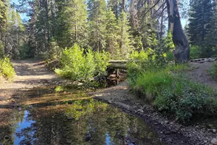 7000 Cold Stream Rd, Truckee, CA 96161 - Photo 1