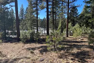 57 Red Hawk Dr, Portola, CA 96122 - Photo 1