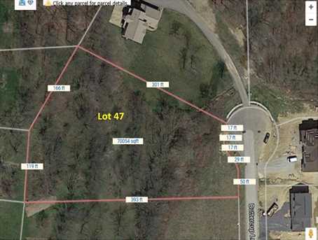 47 Buttercup Ln - Photo 1