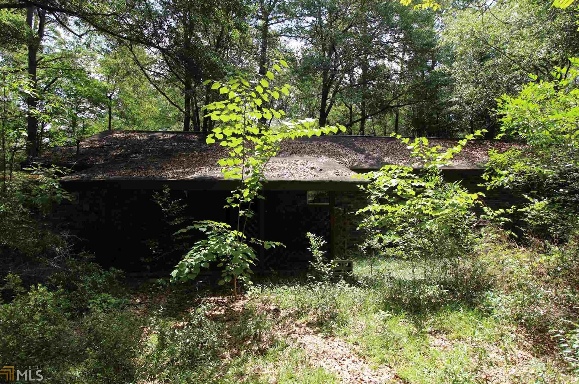 49 Plantation Dr, Butler GA  31006-5504 exterior