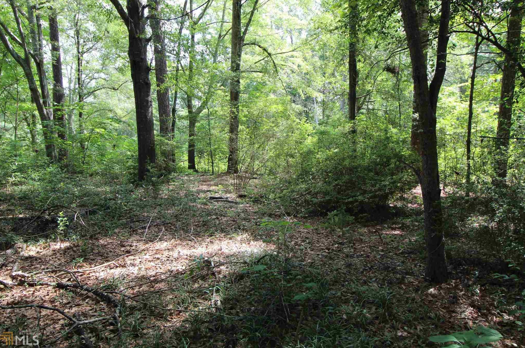 49 Plantation Dr, Butler GA  31006-5504 exterior