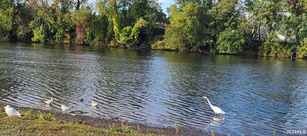 87 Ackerman Ave, Elmwood Park NJ  07407-1608 exterior