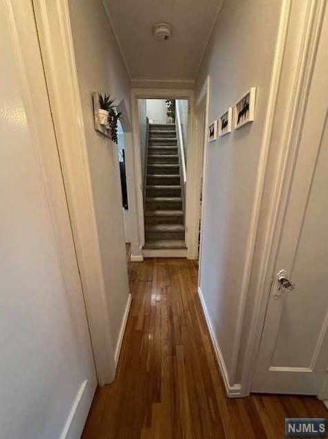 314 Passaic Ave, Rutherford NJ  07070-1826 exterior