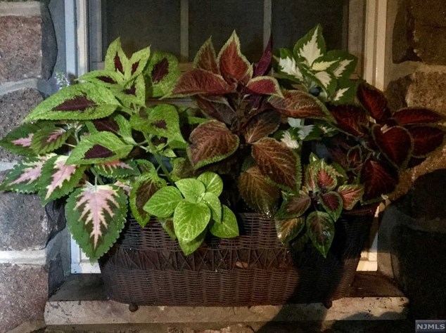 377 Lakeview Ave, Skyline Lakes NJ 07456-2100 exterior