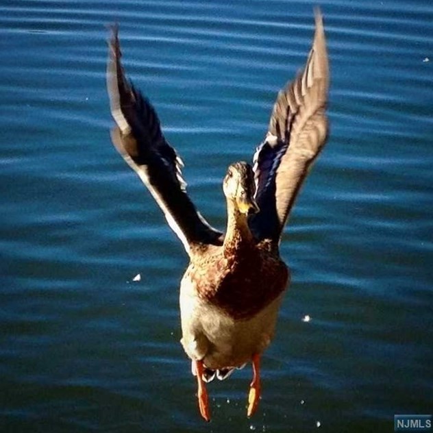 377 Lakeview Ave, Skyline Lakes NJ 07456-2100 exterior