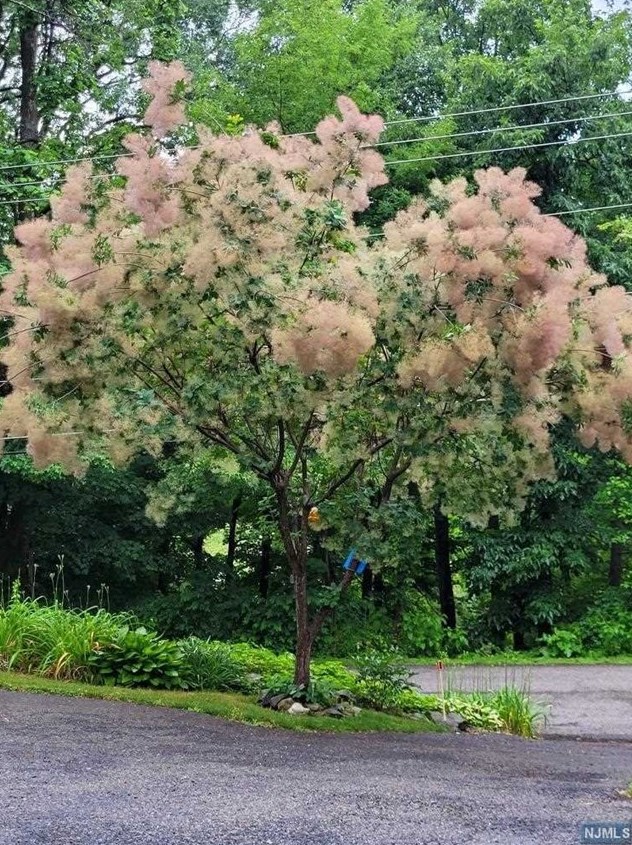 10 Tall Oaks Dr, Hardyston NJ 07419-2022 exterior