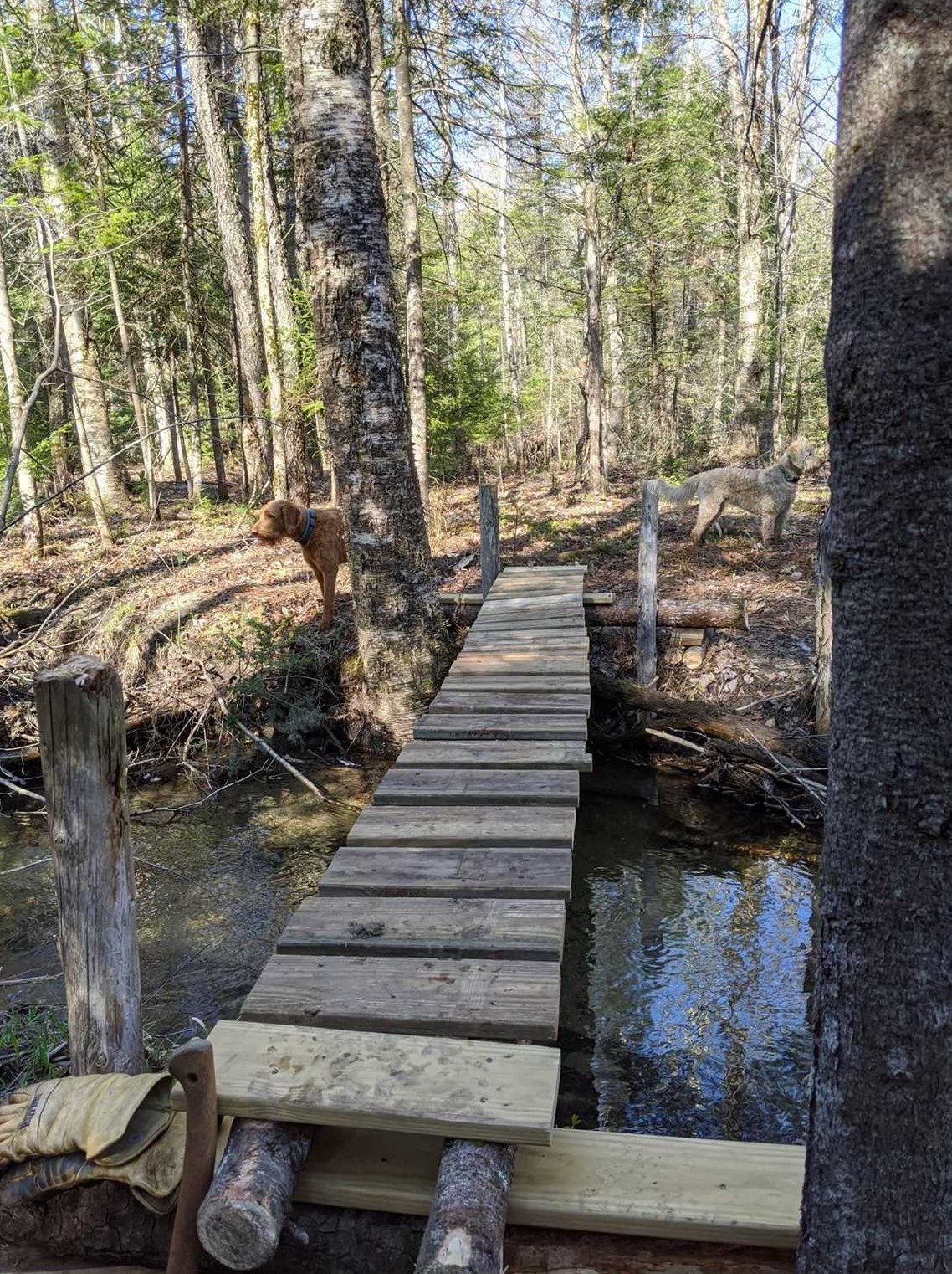 71 Goose Pond Rd, Hanover NH 03755-3923 exterior