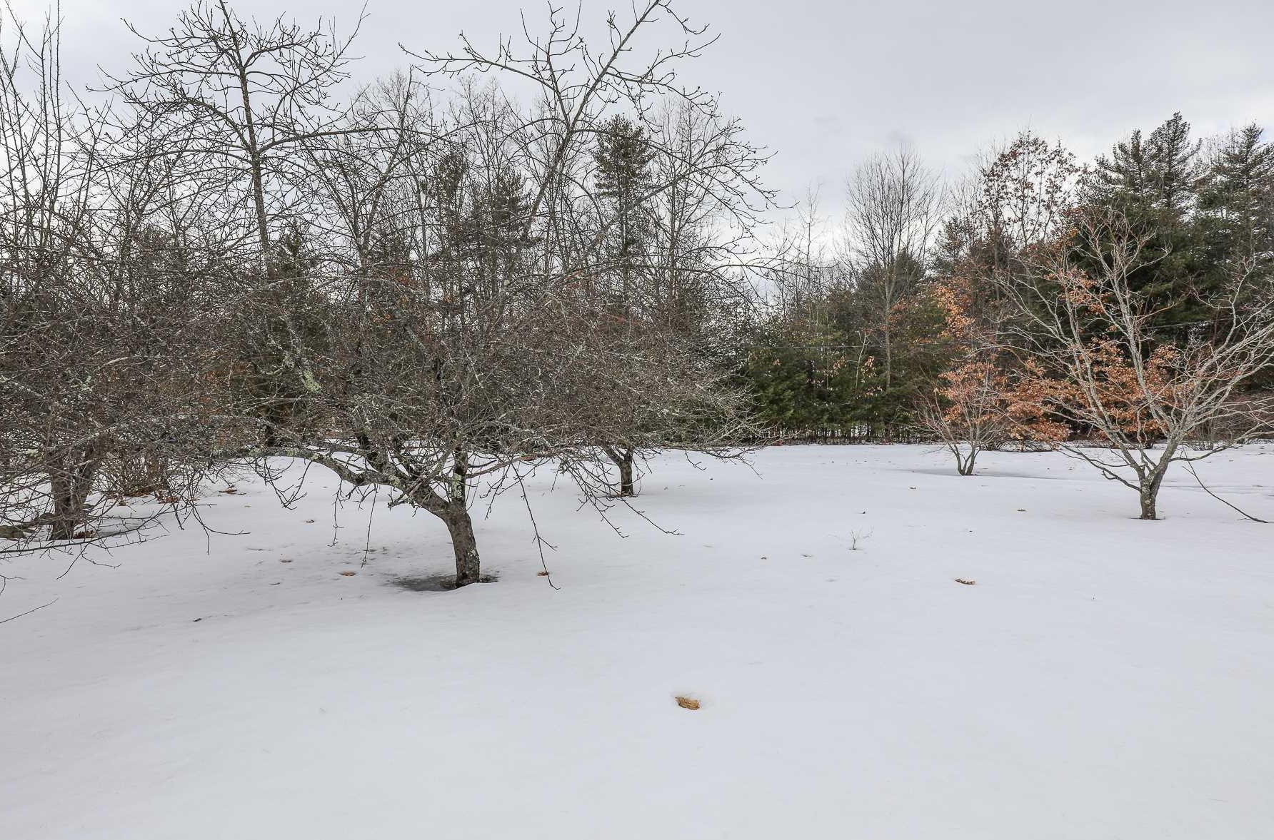 12 Frst Ln, Hudson NH  03052 exterior