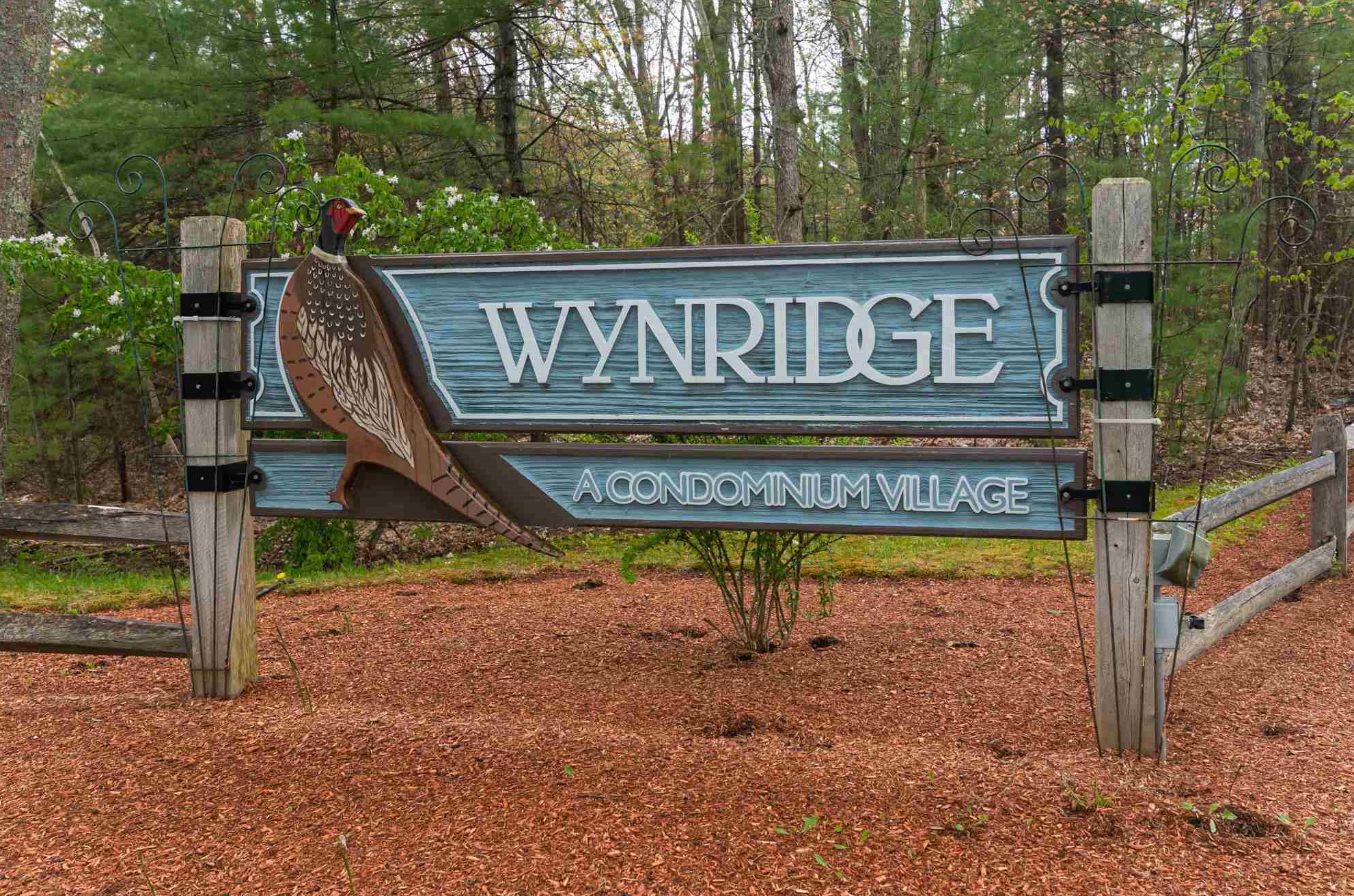 12 Wynridge Rd, Windham NH  03087-1658 exterior