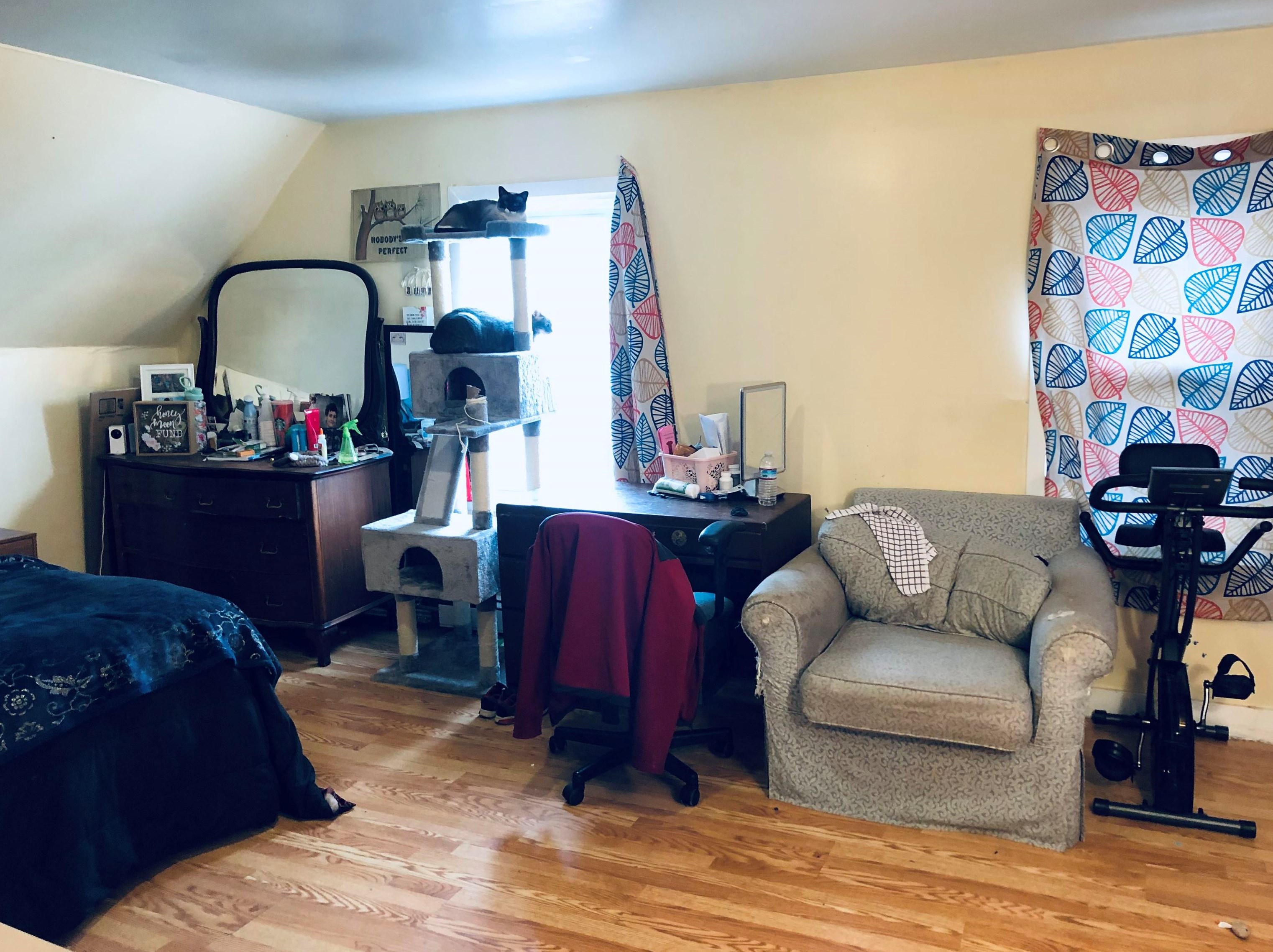 320 Cedar St, Manchester NH 03103-5311 exterior