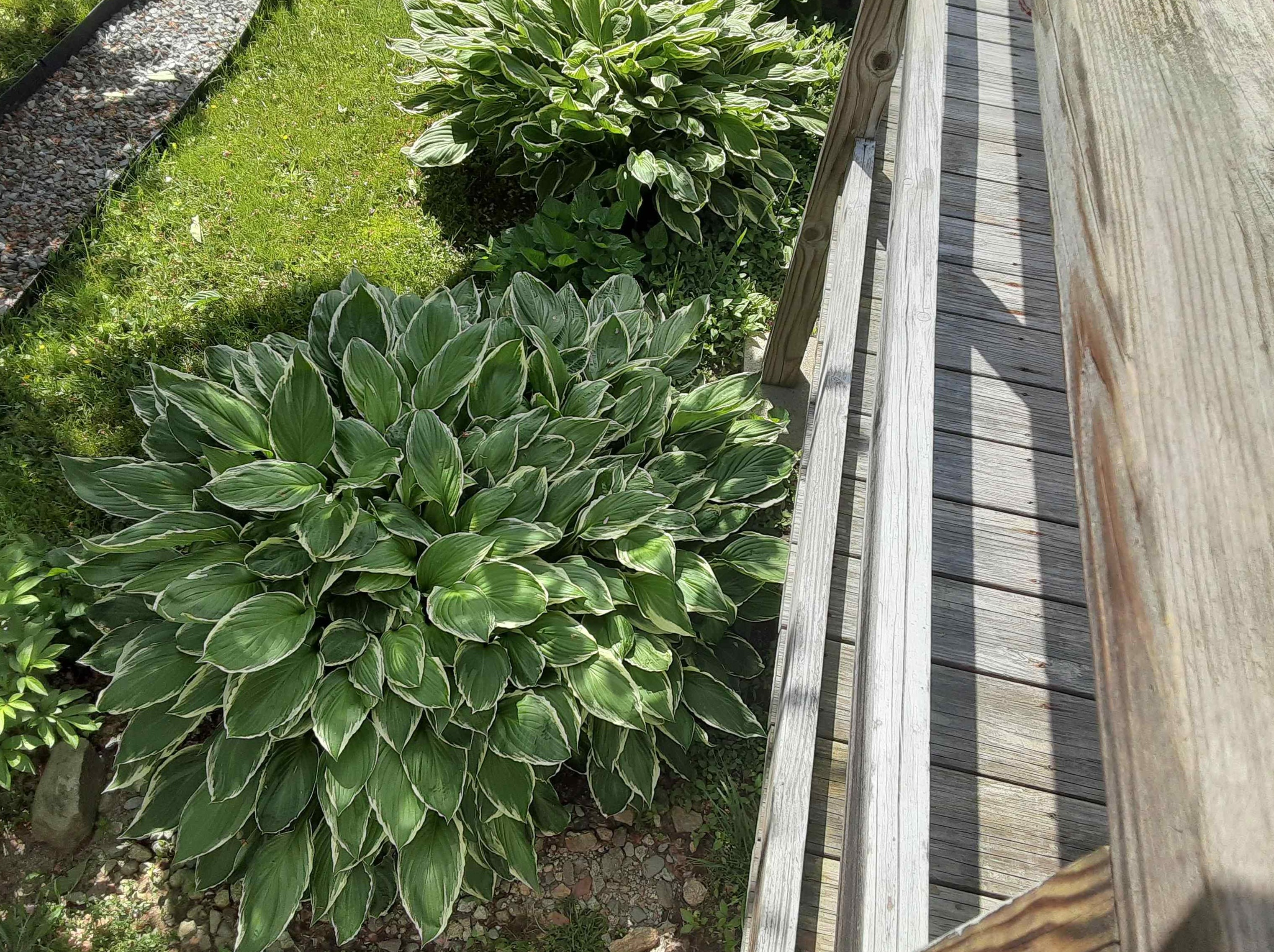 12 Mobile Dr, Hudson NH  03051-3909 exterior