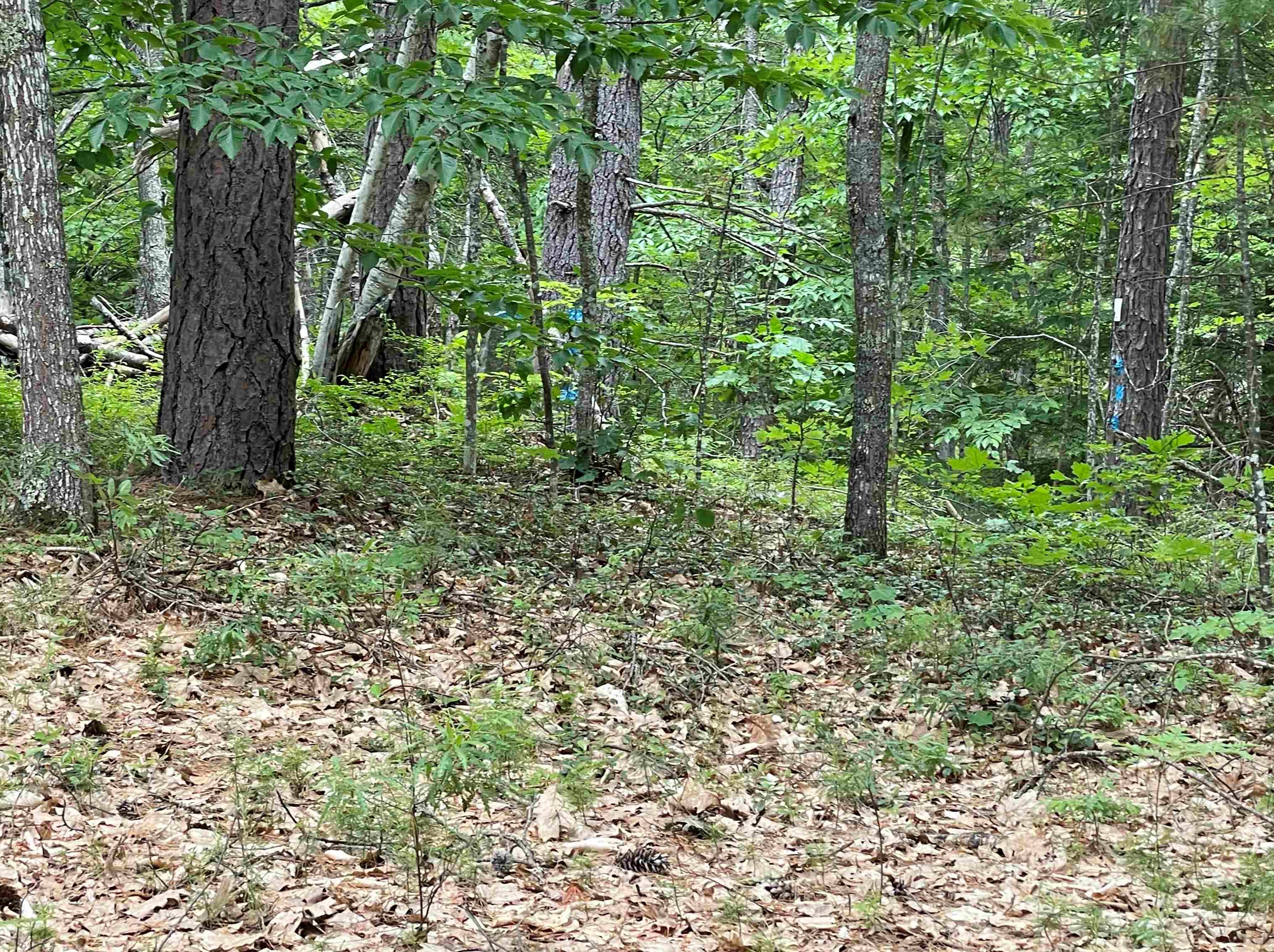 405 Route 25, Ctr Ossipee NH  03814-6401 exterior