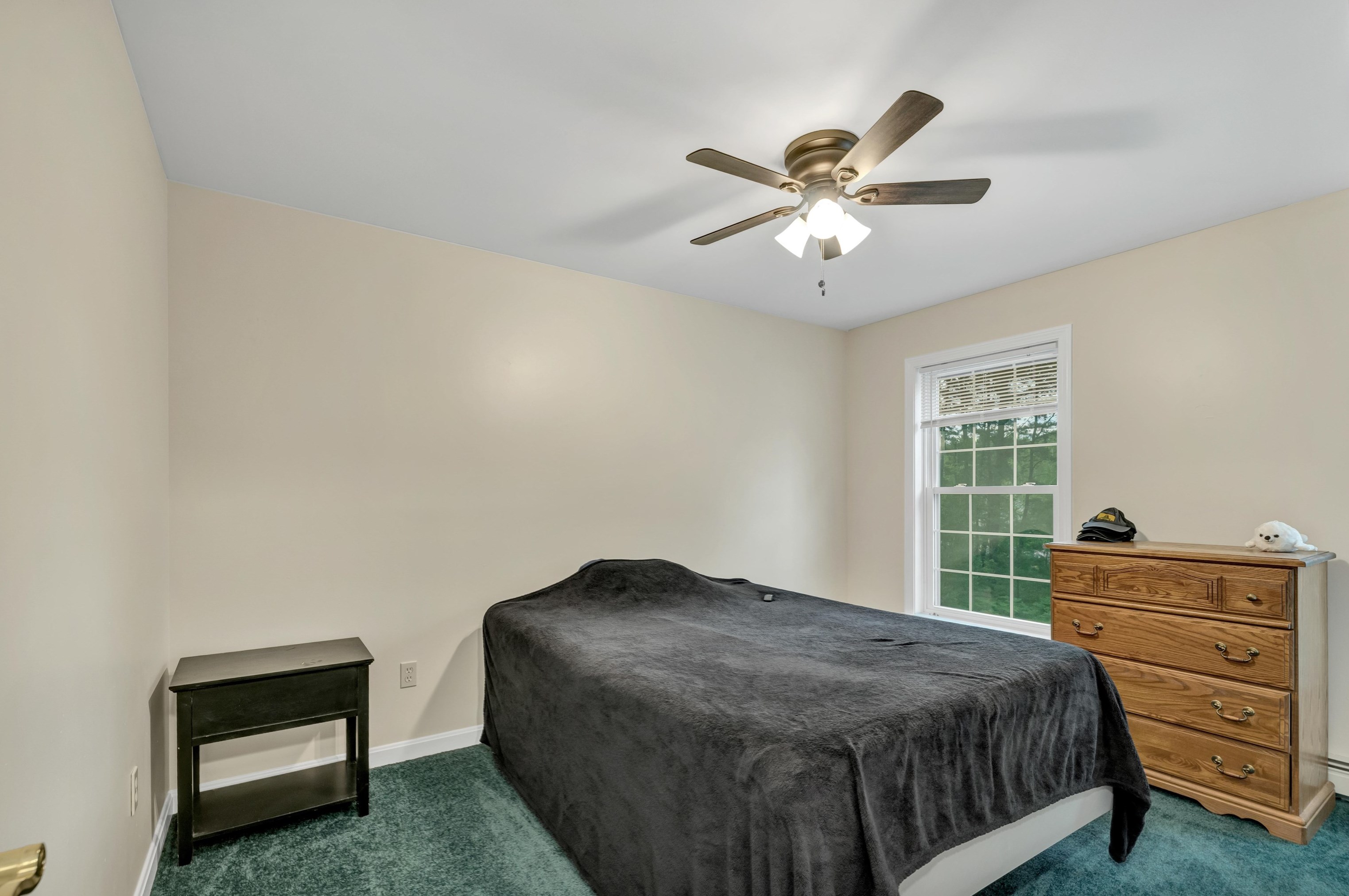 514 Silver Pine Ln, Tamworth NH  03886-4521 exterior