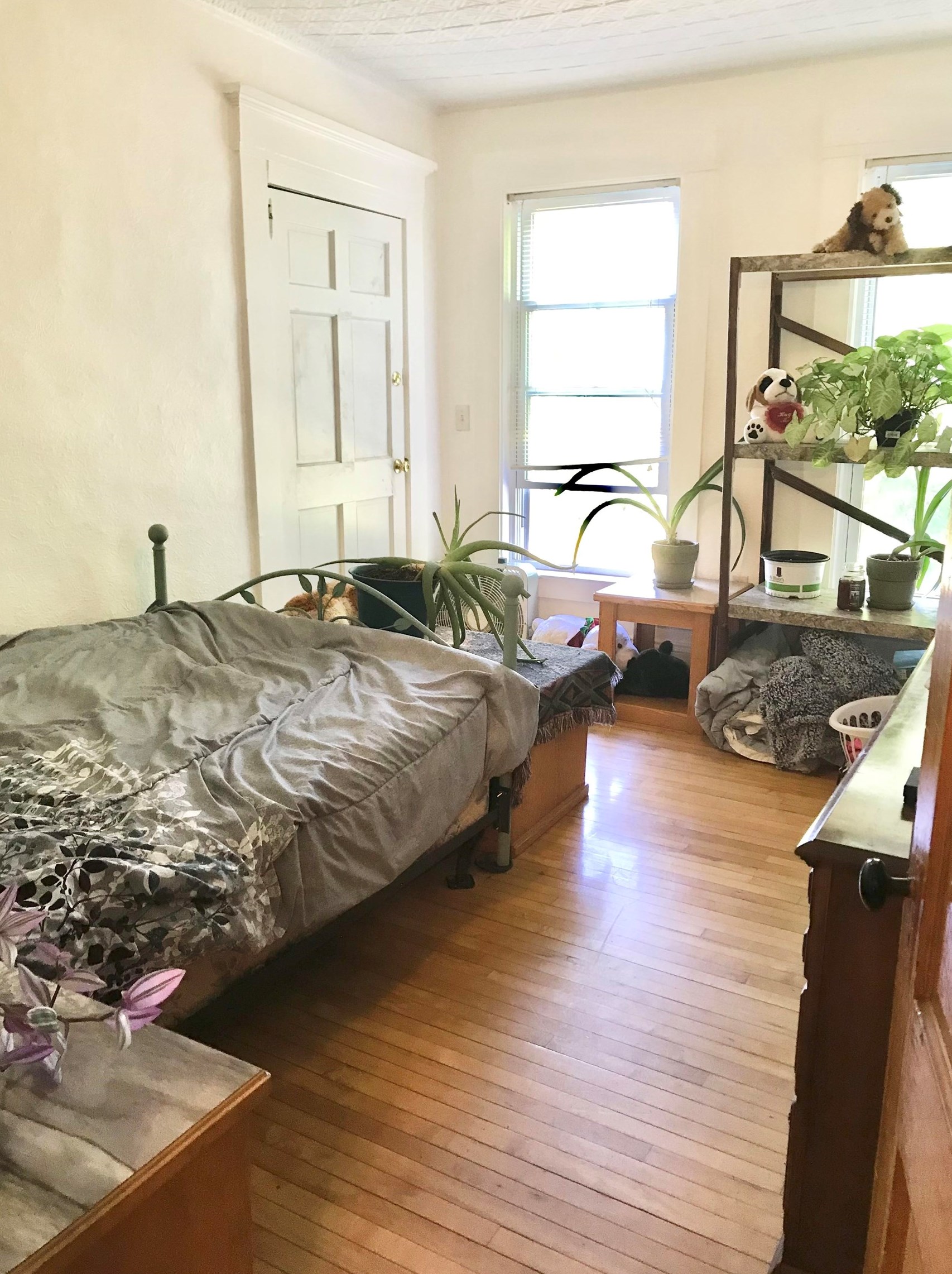 408 Candia Rd, Manchester NH 03109-5703 exterior