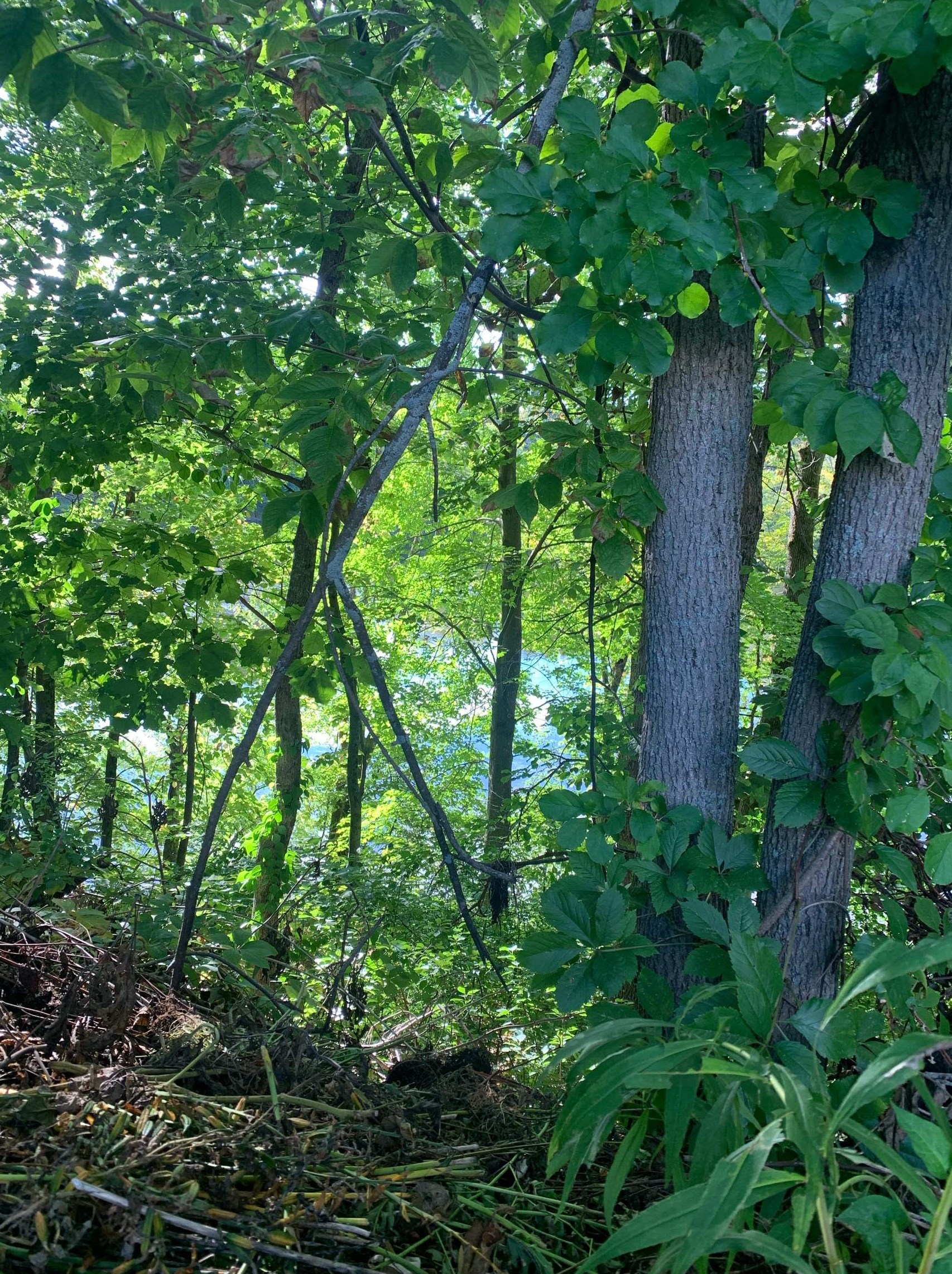 6 Waterview Cir, Hudson NH 03052-8046 exterior