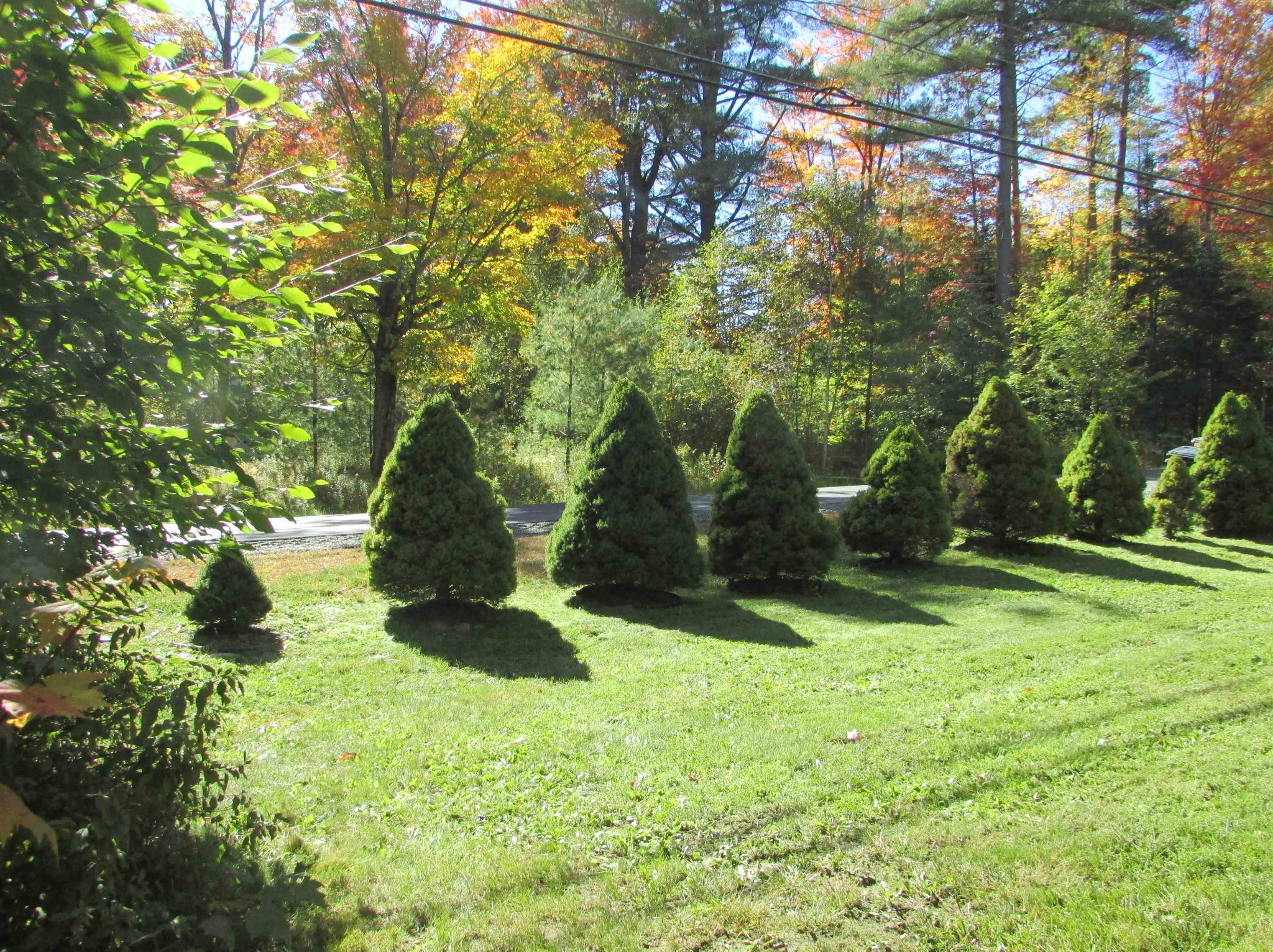 315 Maple St, Bethlehem, NH 03574