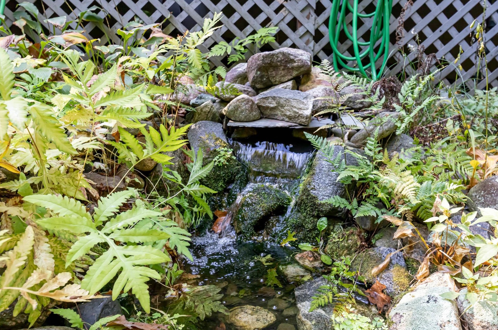 251 Baboosic Lake Rd, Merrimack NH 03054-2361 exterior