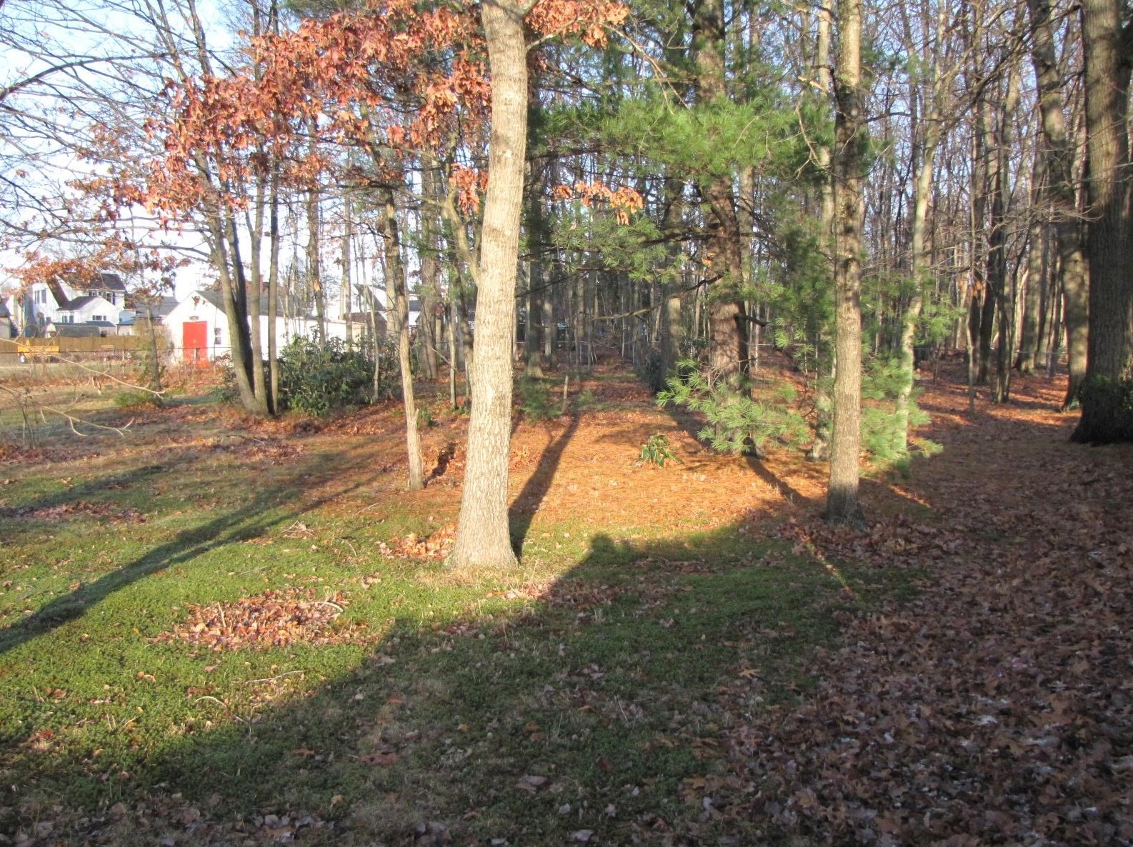 236 Hall St, Manchester NH 03103-3956 exterior