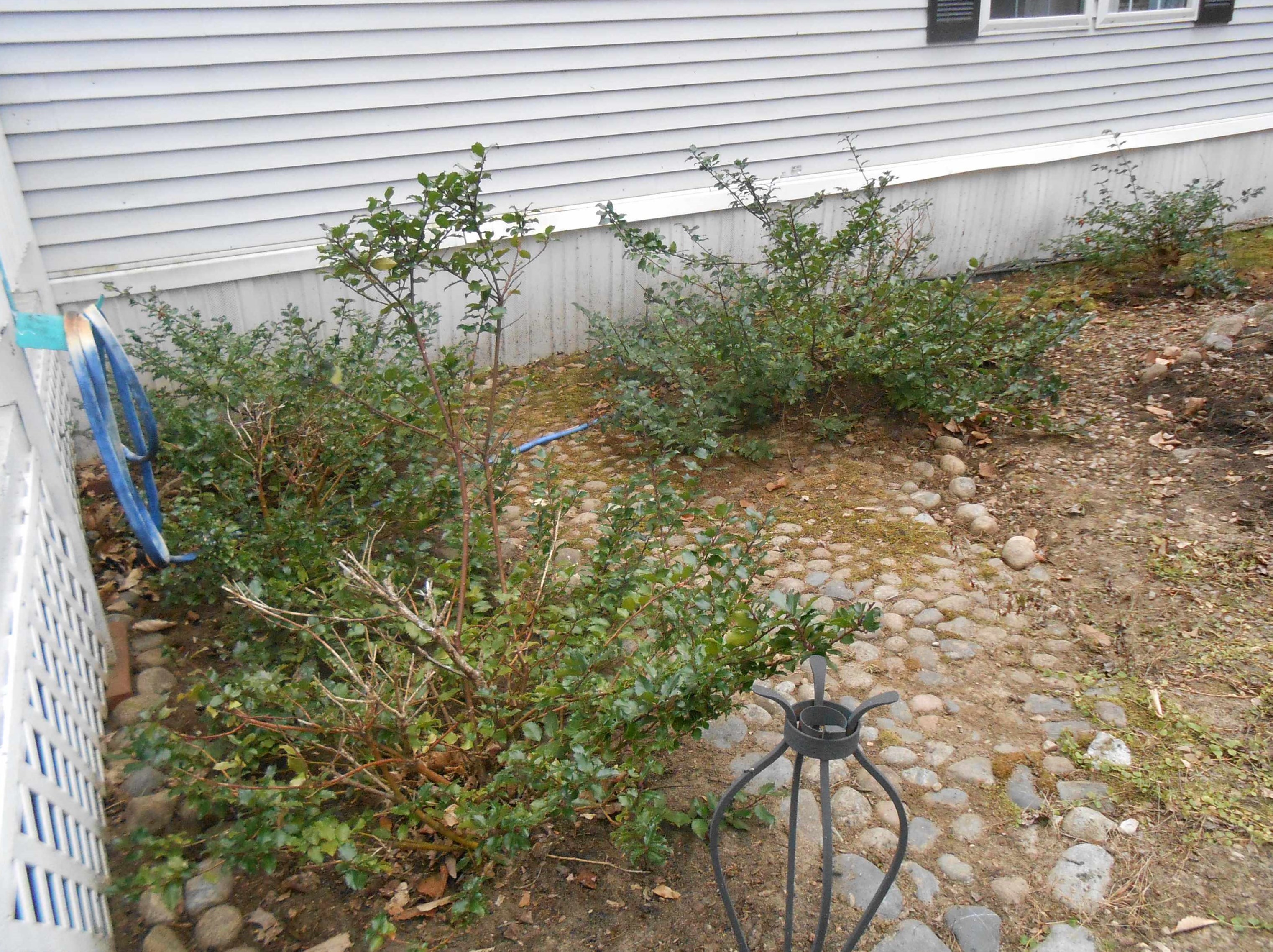 2 Kenyann Dr, Tuftonboro NH  03894-4822 exterior
